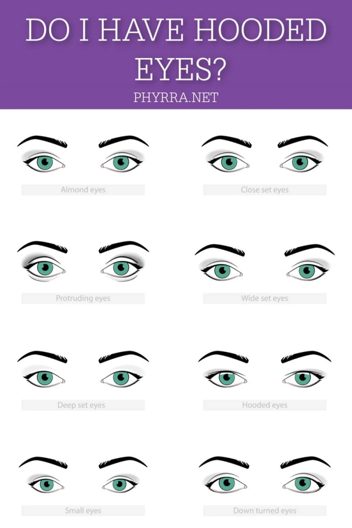 Eye shape reference chart showing six basic eyelid types