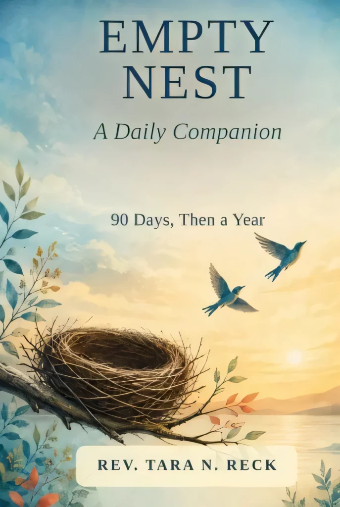 Cover of Empty Nest: A Daily Companion book